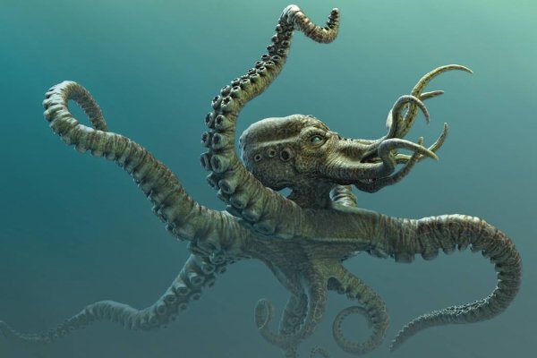 Kraken даркнет маркет